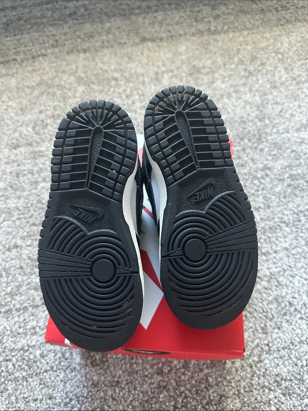 Toddler Nike Dunks